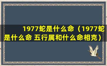 1977蛇是什么命（1977蛇是什么命 五行属和什么命相克）